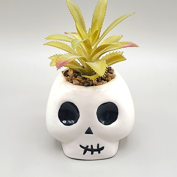 Skull Planter with Faux Plant - Picture 6 of 6
